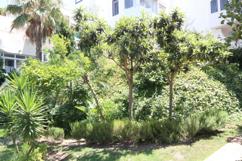 Ground Floor Apartment Reserva de Marbella Málaga - image 12