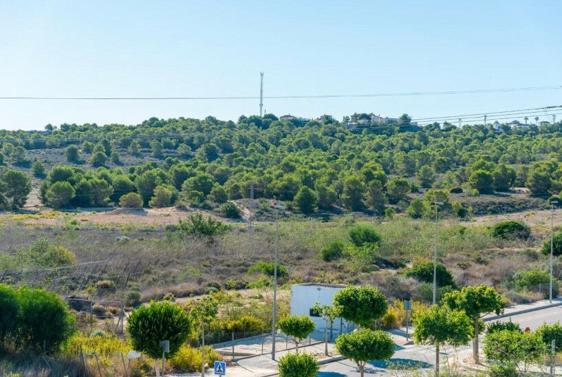 Detached Villa San Miguel de Salinas Alicante - image 41