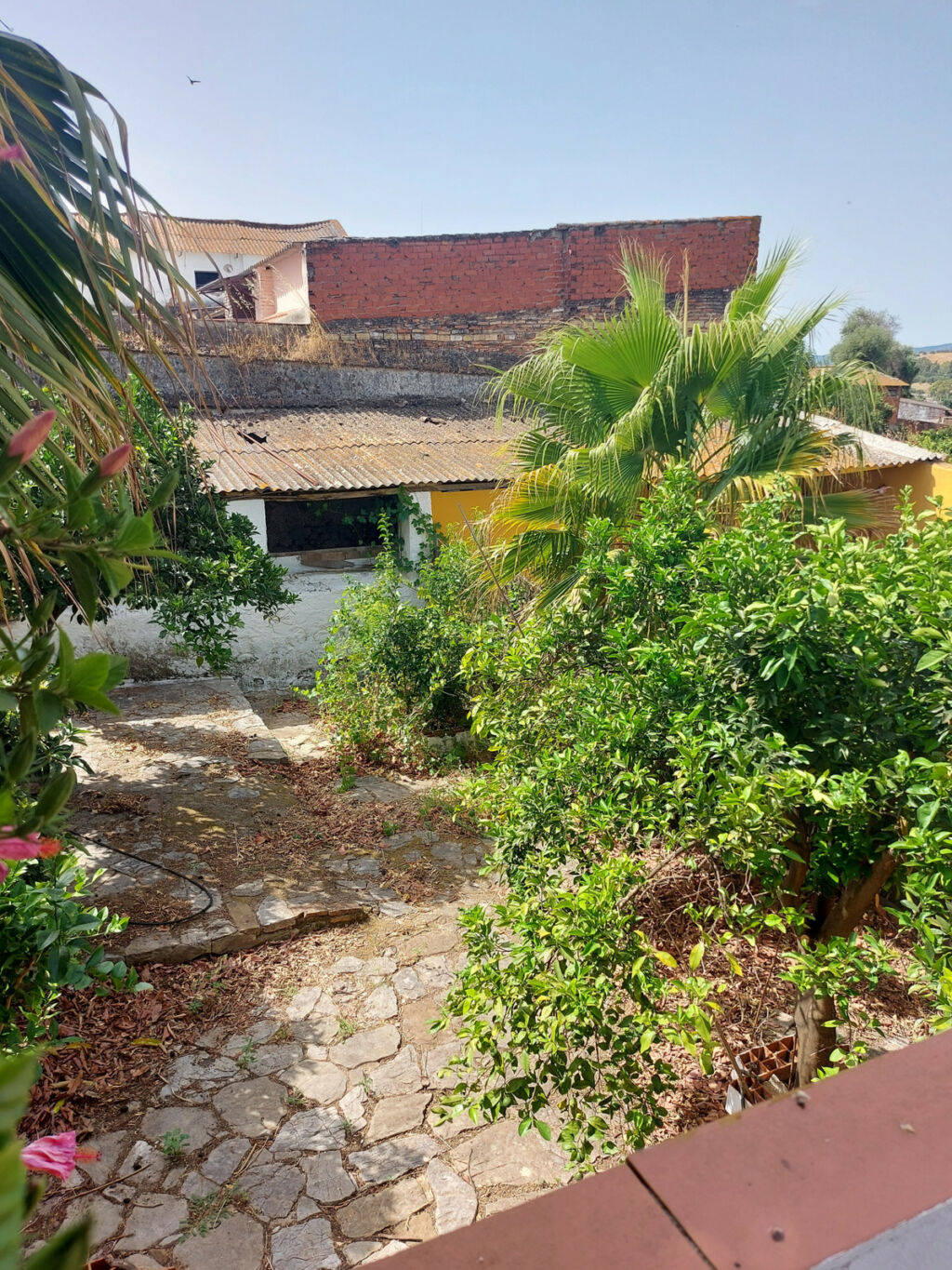 Semi-Detached House Jimena de la Frontera Cádiz - image 36