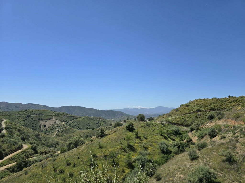 Detached Villa Sedella Málaga - image 41