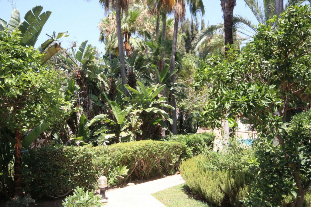 Ground Floor Apartment Reserva de Marbella Málaga - image 13