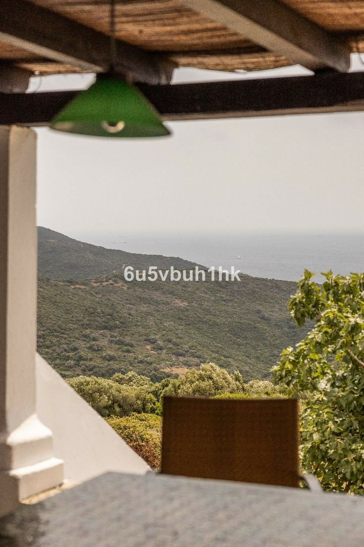 Finca - Cortijo Tarifa Cádiz - image 41