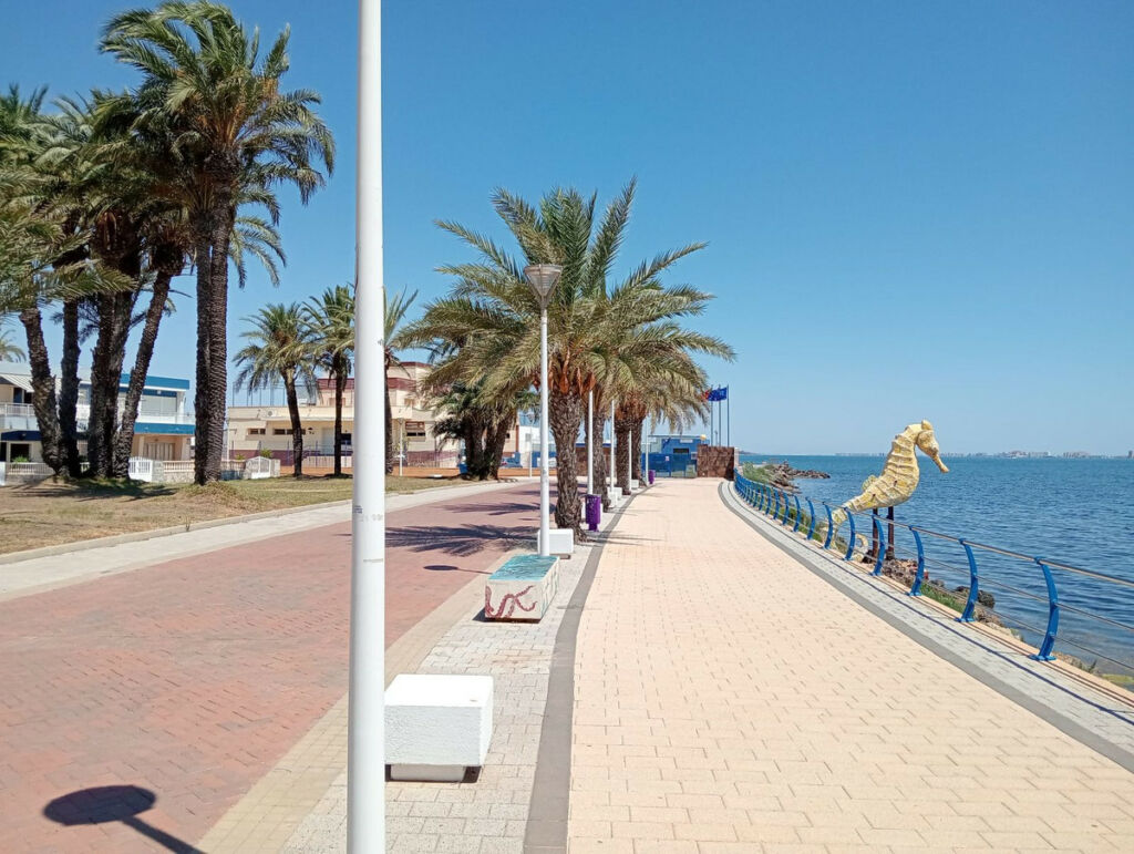 Penthouse Mar de Cristal Murcia - image 41