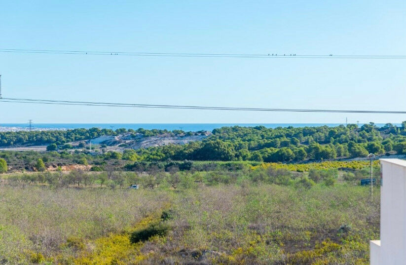 Detached Villa San Miguel de Salinas Alicante - image 42