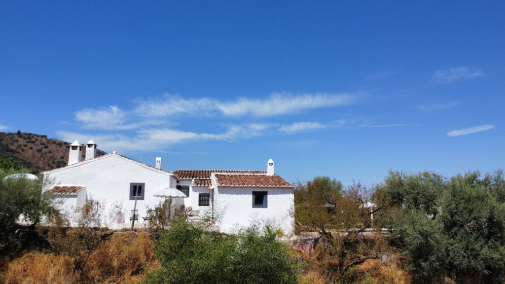 Detached Villa Arenas Málaga - image 44