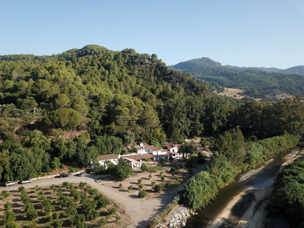 Finca - Cortijo Gaucín Málaga - image 43