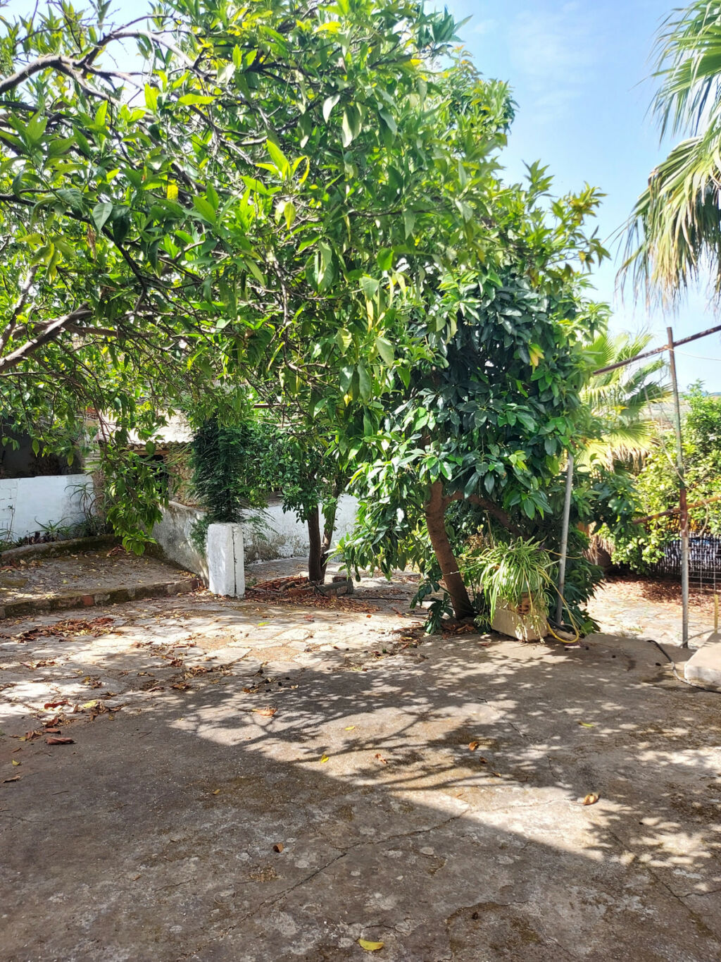 Semi-Detached House Jimena de la Frontera Cádiz - image 42