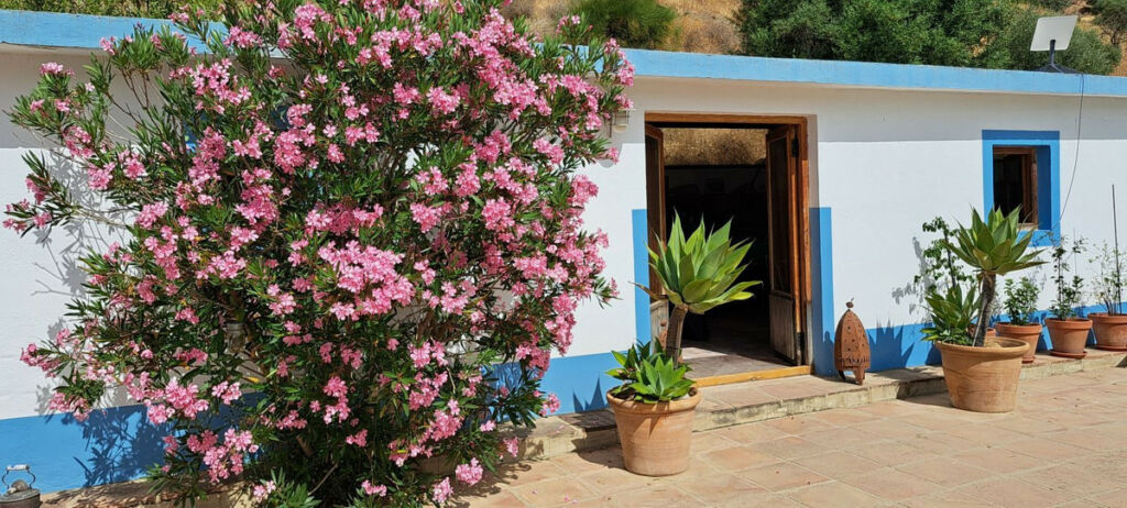 Finca - Cortijo Alora Málaga - image 43