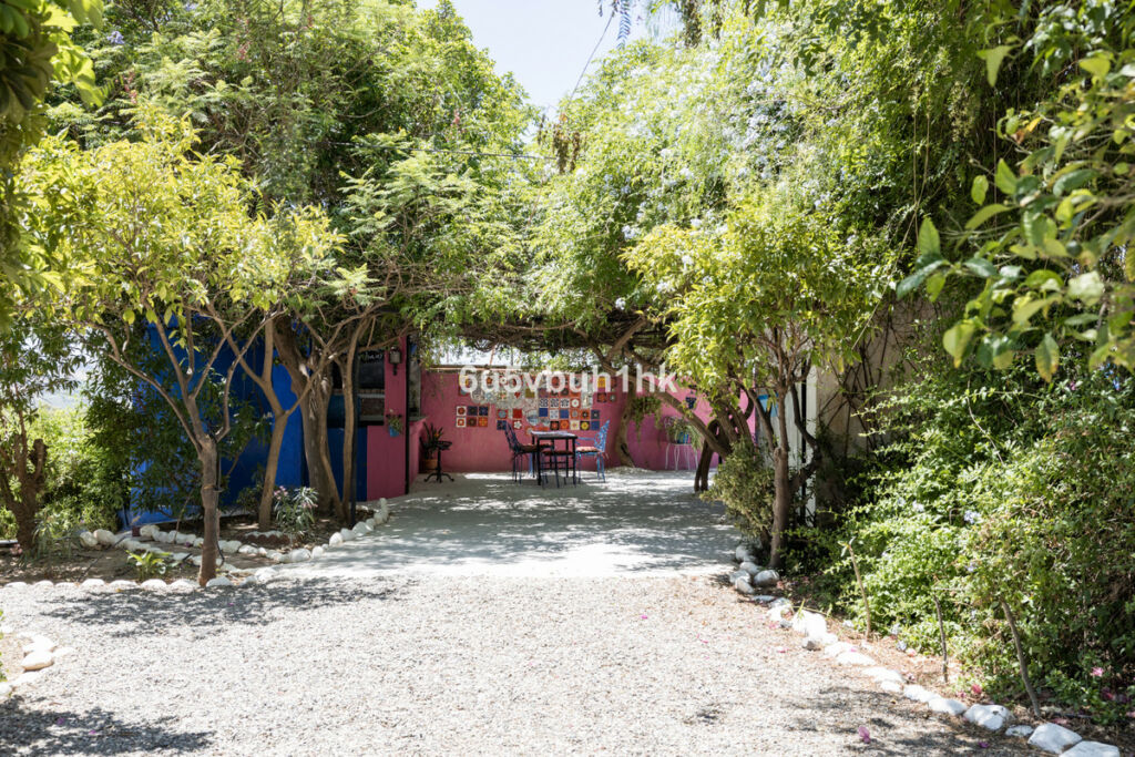 Finca - Cortijo Alora Málaga - image 44