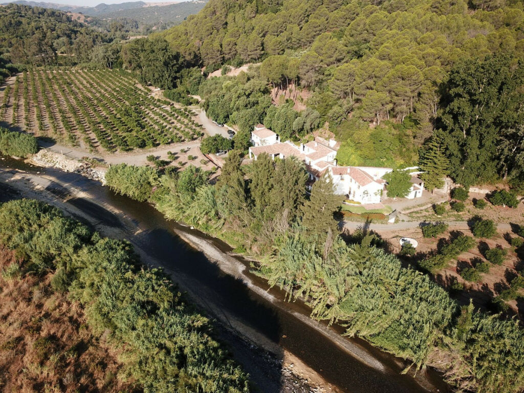 Finca - Cortijo Gaucín Málaga - image 45