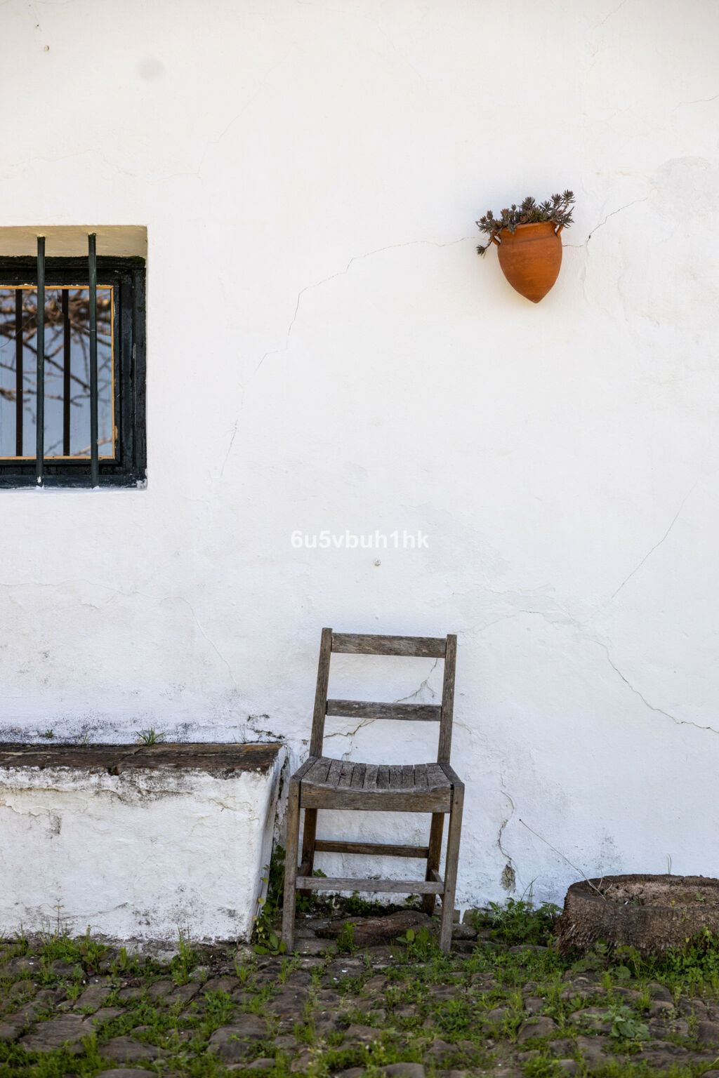 Finca - Cortijo Jimena de la Frontera Cádiz - image 48