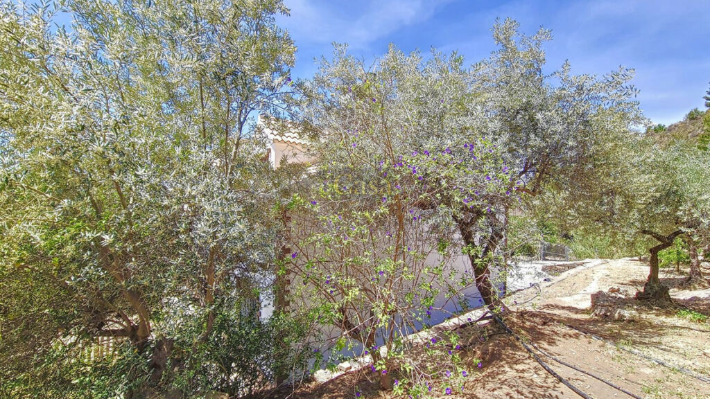 Detached Villa Canillas de Albaida Málaga - image 49