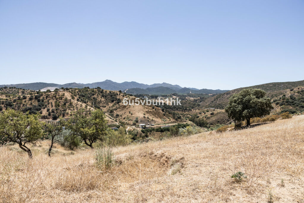 Land Coín Málaga - image 5