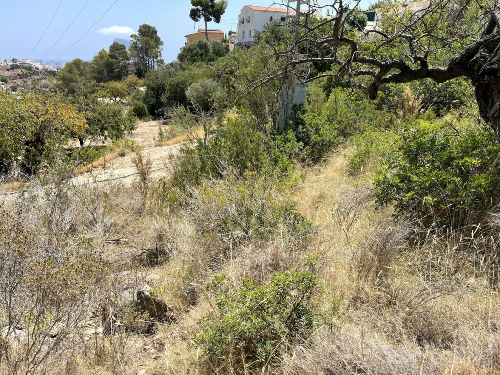 Residential Plot Calpe Alicante - image 5