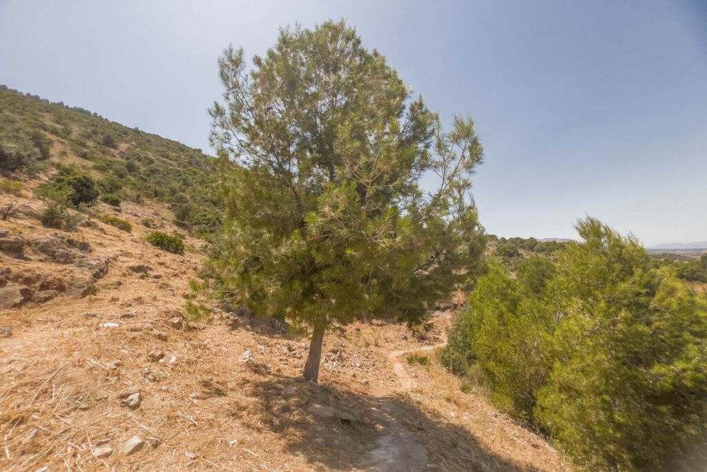 Residential Plot Alhaurín de la Torre Málaga - image 5