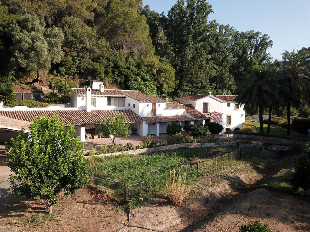Finca - Cortijo Gaucín Málaga - image 5