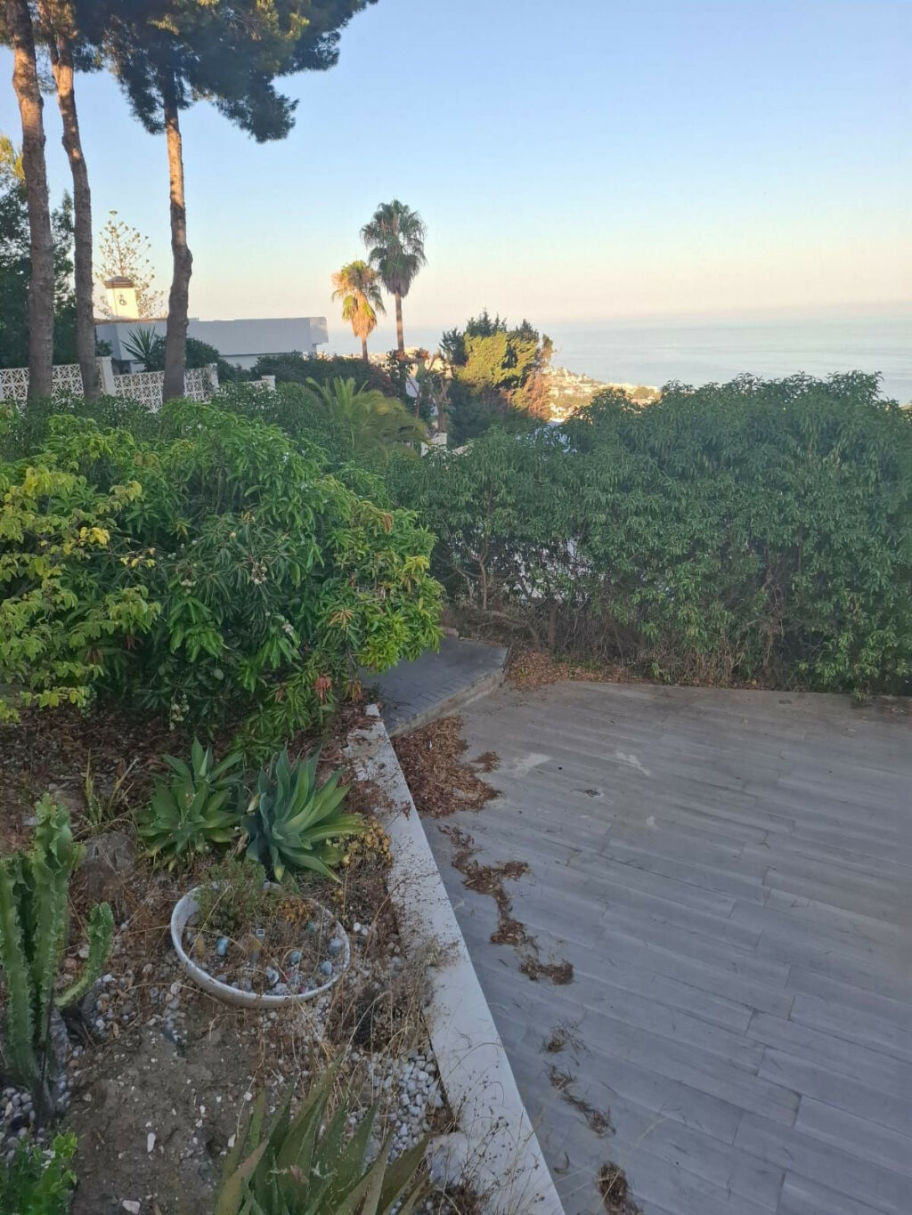 Detached Villa Benalmadena Málaga - image 5