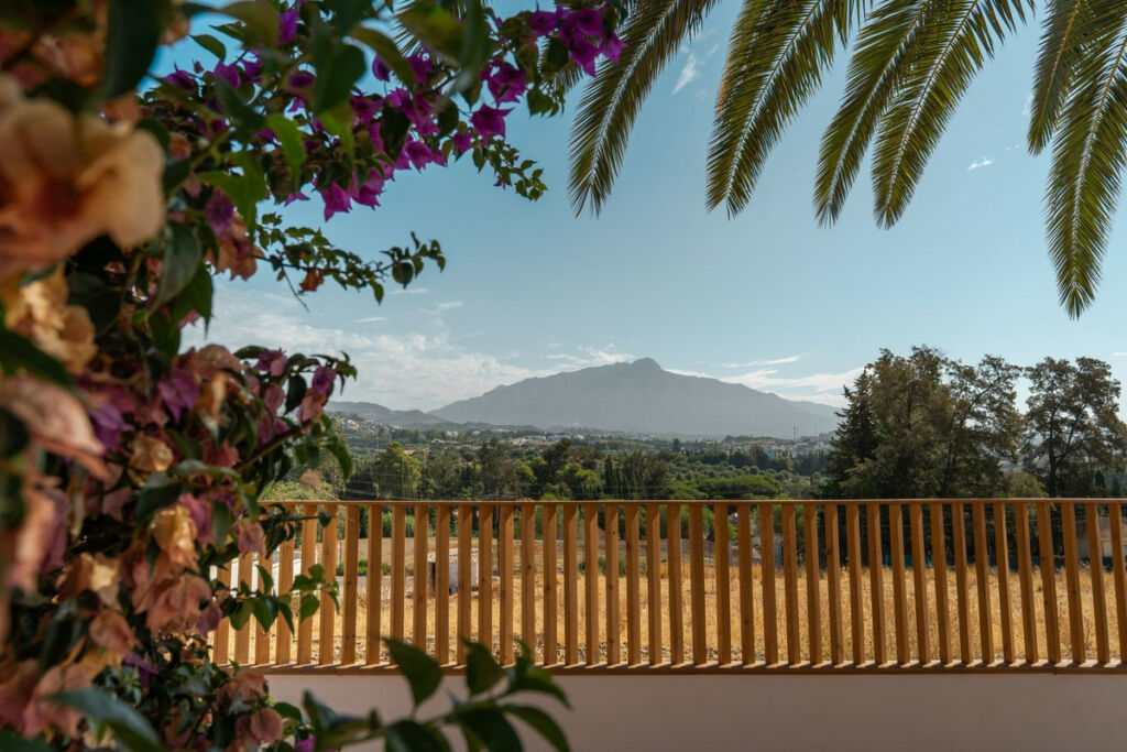 Detached Villa Guadalmina Alta Málaga - image 5