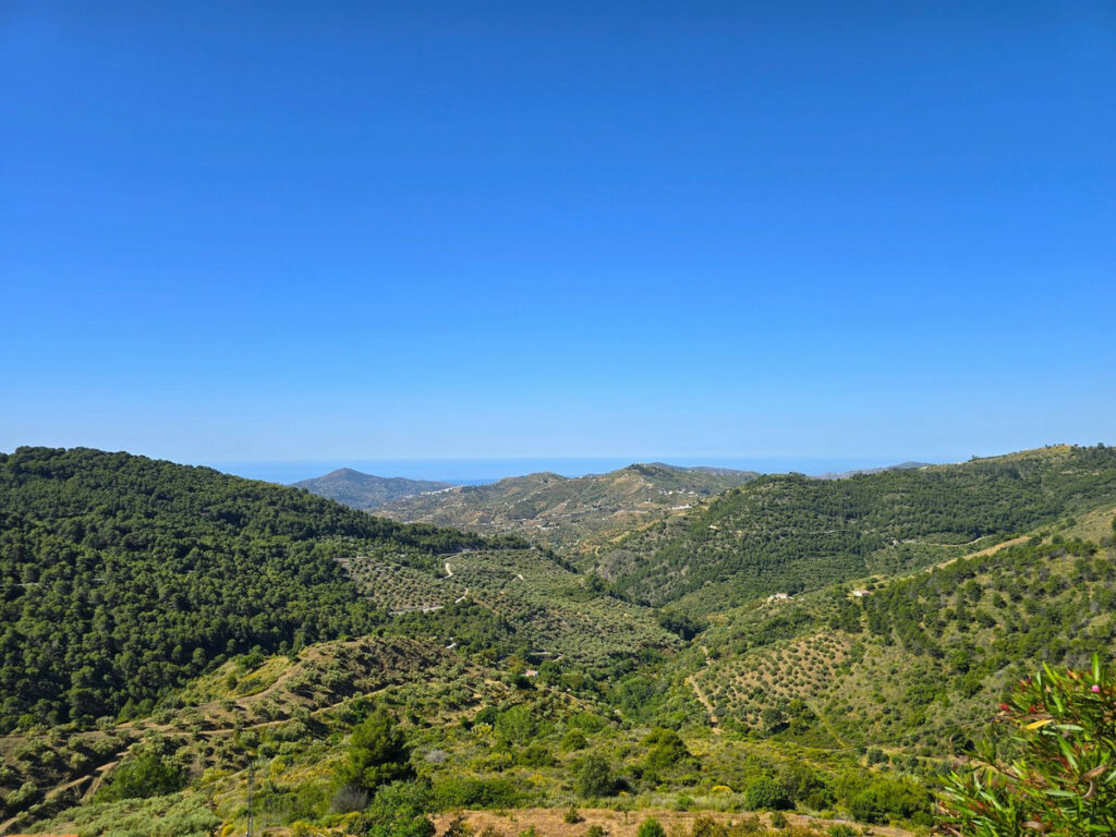 Finca - Cortijo Canillas de Albaida Málaga - image 5
