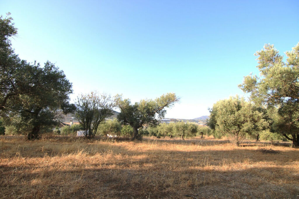 Land Coín Málaga - image 5
