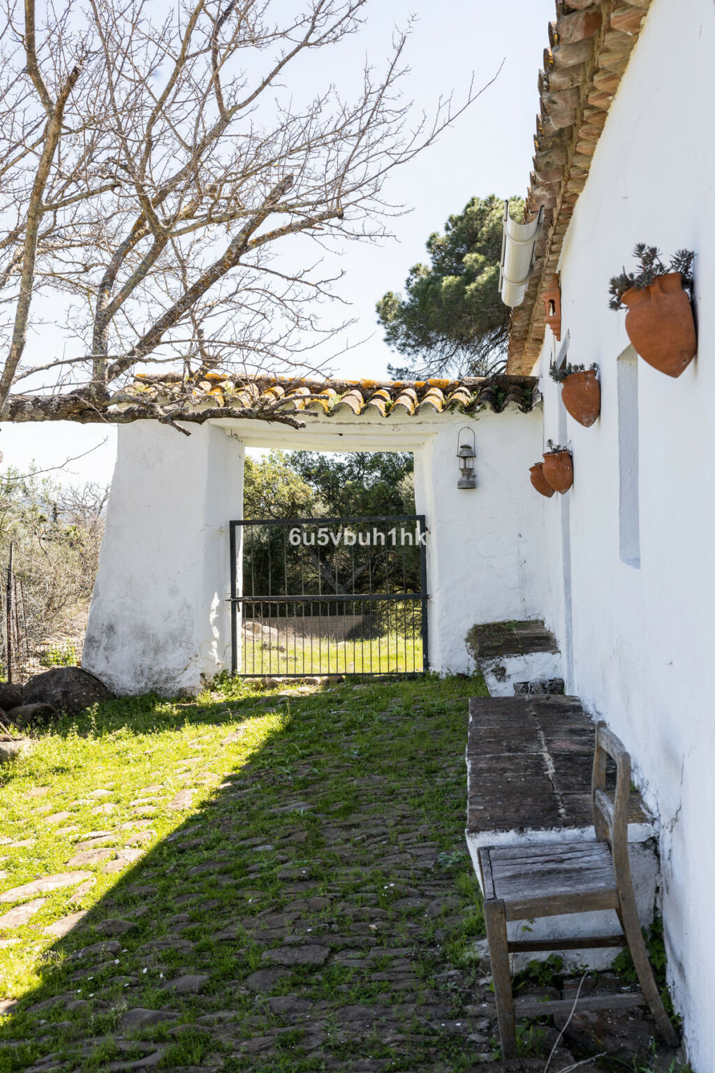 Finca - Cortijo Jimena de la Frontera Cádiz - image 50