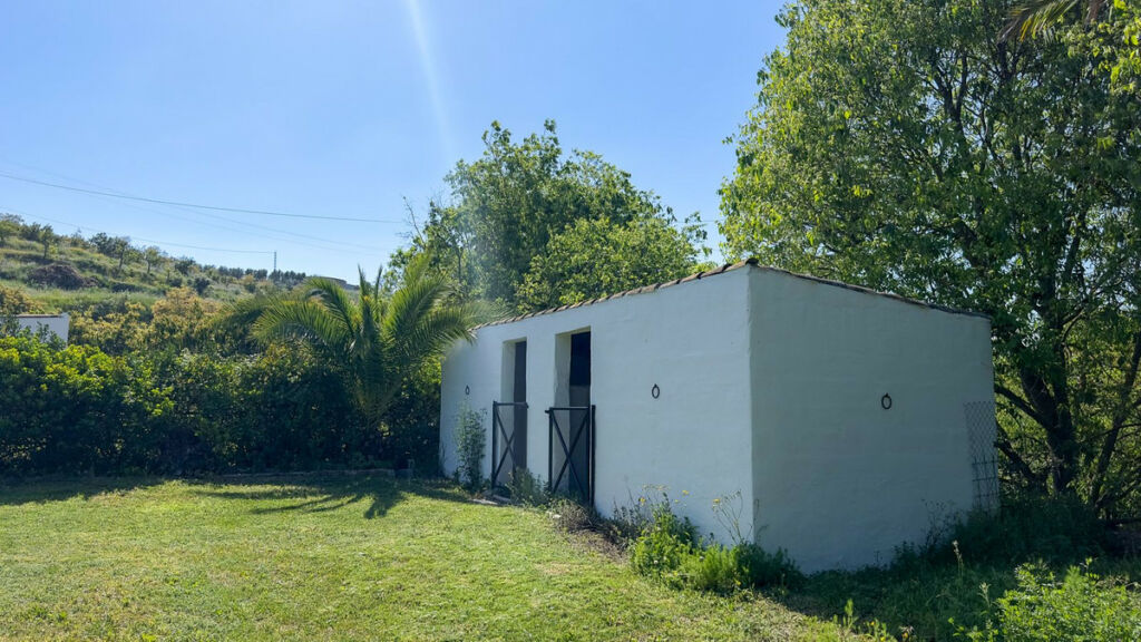 Finca - Cortijo Alhaurín el Grande Málaga - image 51