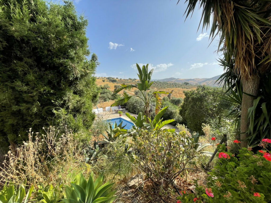 Finca - Cortijo Alora Málaga - image 51