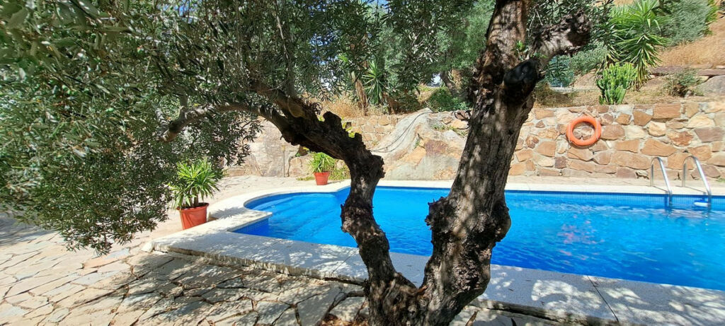 Finca - Cortijo Alora Málaga - image 52