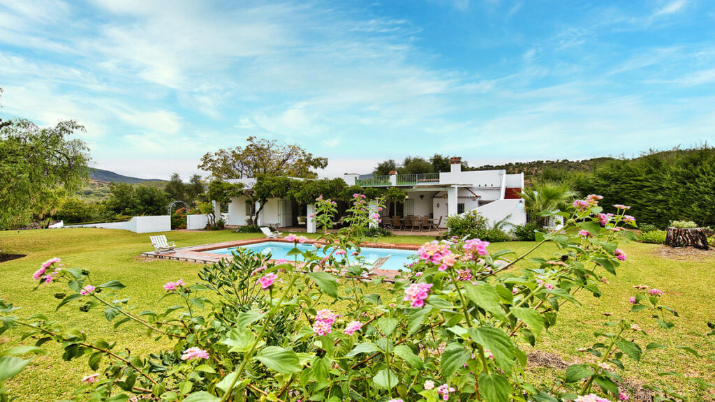 Finca - Cortijo San Pablo de Buceite Cádiz - image 53