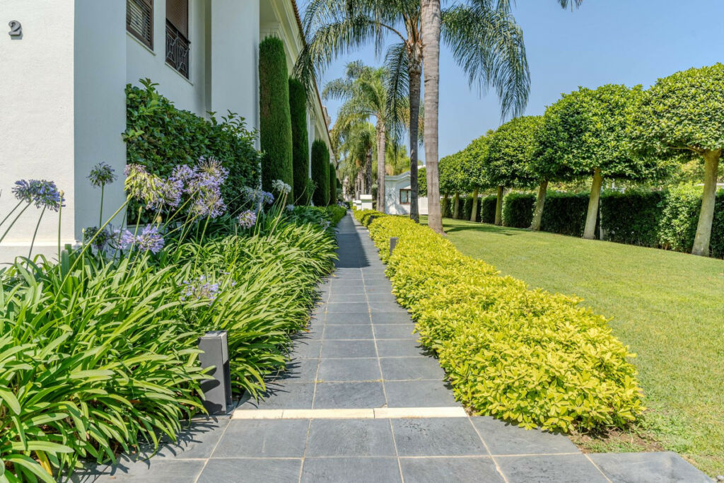 Ground Floor Apartment Estepona Málaga - image 53