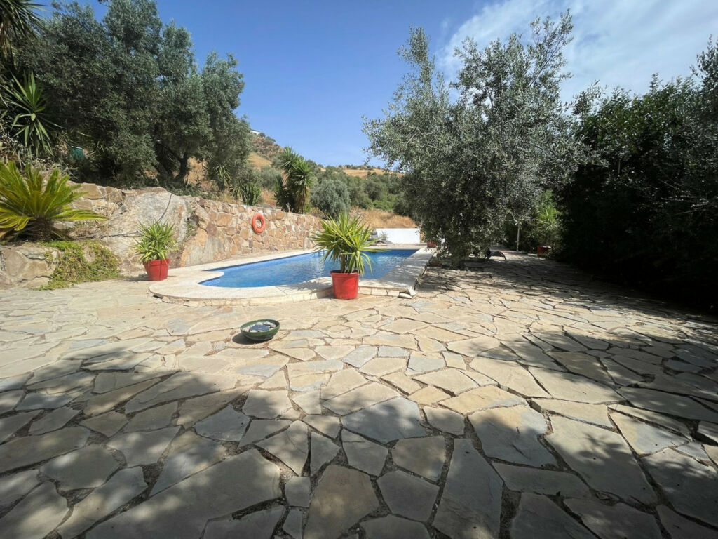 Finca - Cortijo Alora Málaga - image 55