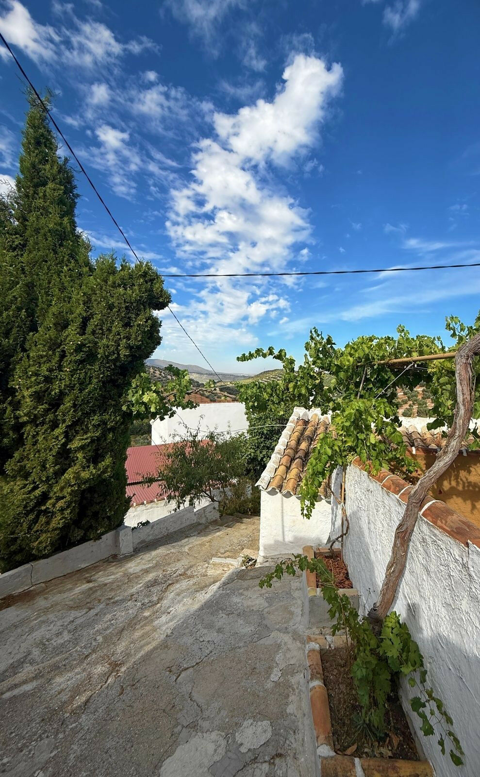 Finca - Cortijo Villanueva de Algaidas Málaga - image 55