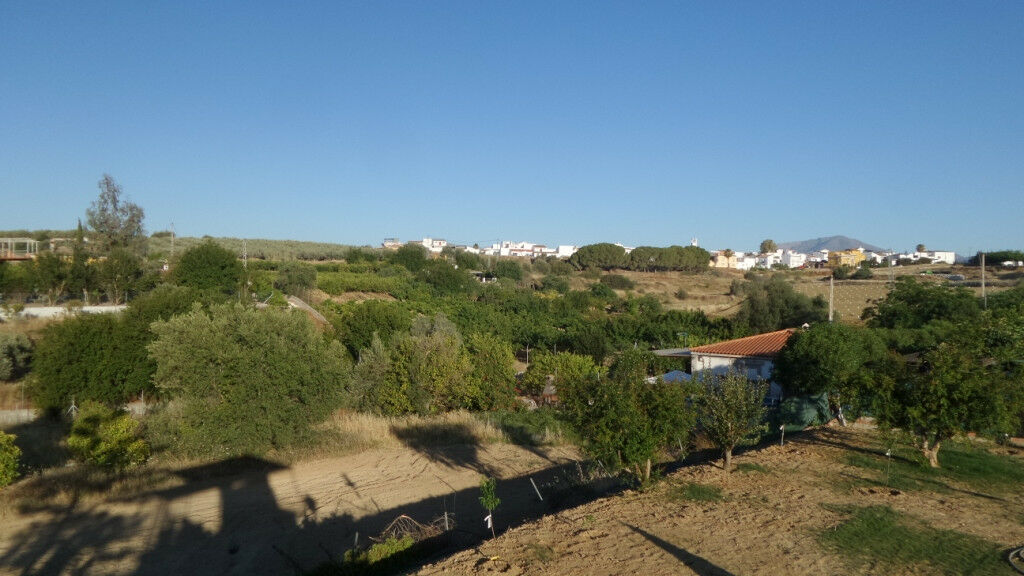 Detached Villa Alhaurín el Grande Málaga - image 59
