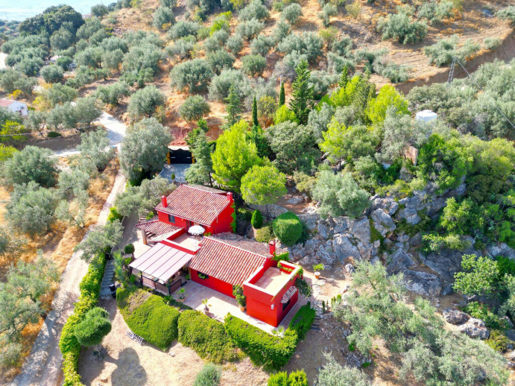 Detached Villa Riogordo Málaga - image 59