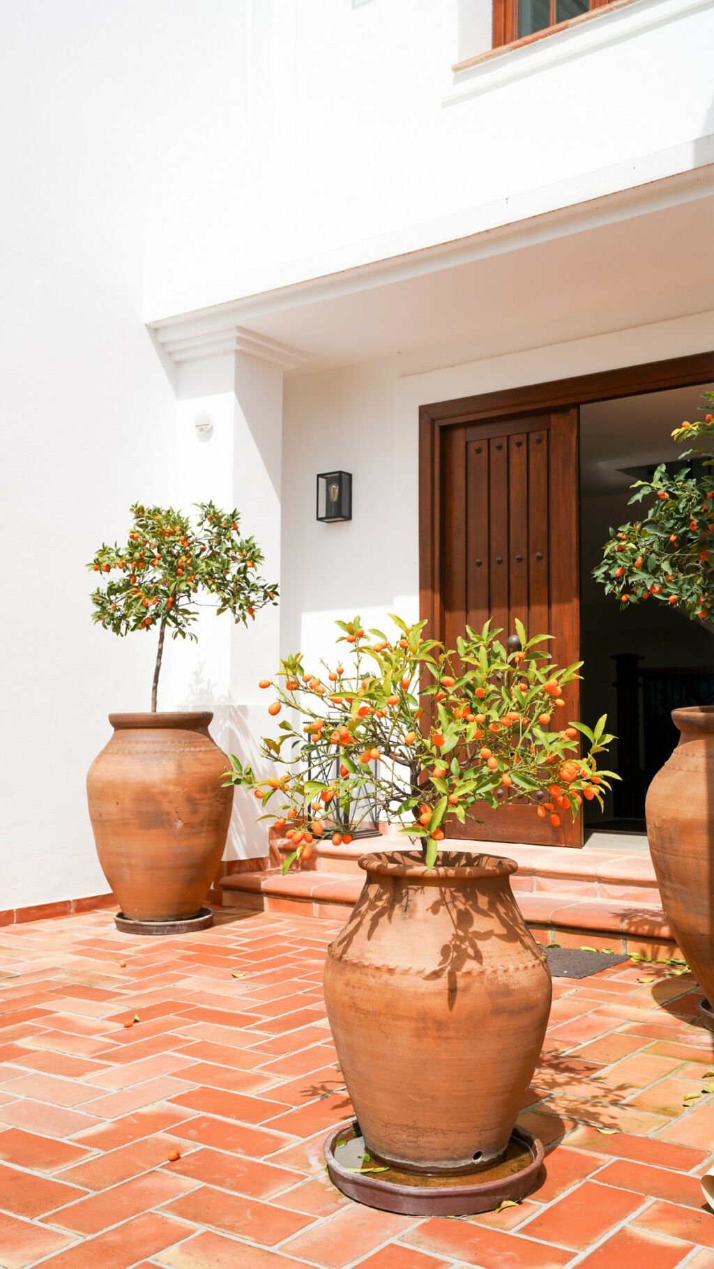 Detached Villa El Madroñal Málaga - image 55