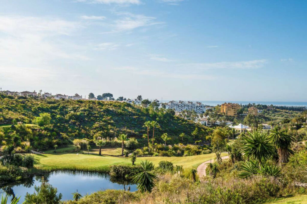 Detached Villa Estepona Málaga - image 6