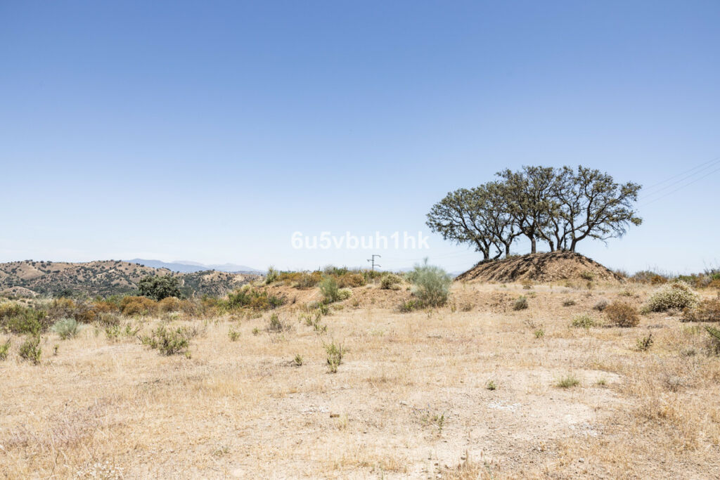 Land Coín Málaga - image 6