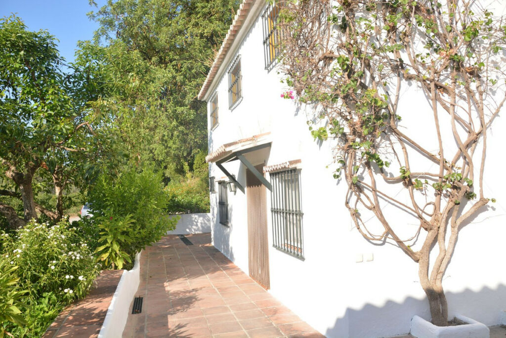 Finca - Cortijo Gaucín Málaga - image 6