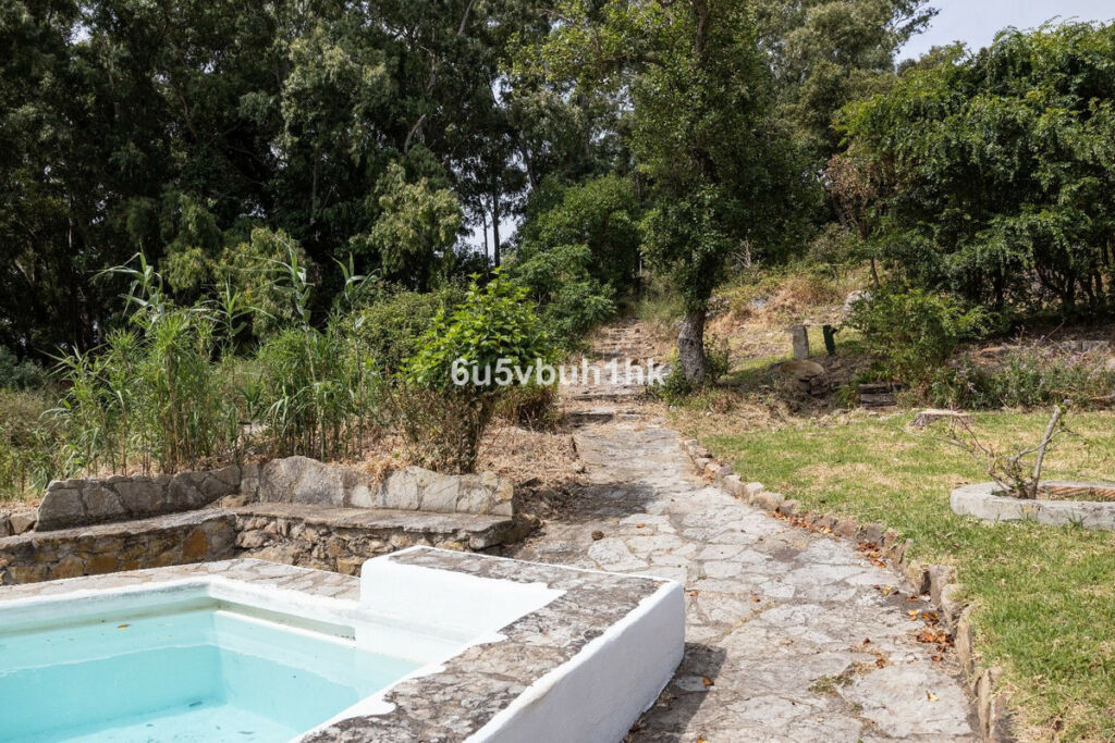 Finca - Cortijo Tarifa Cádiz - image 6