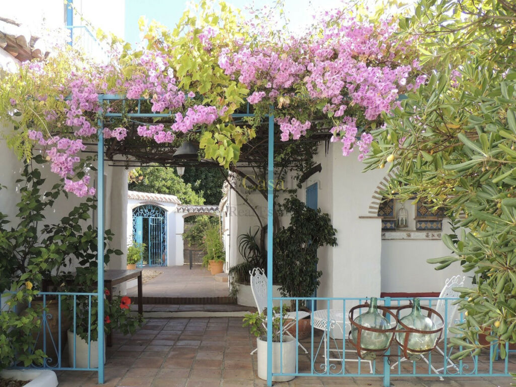 Finca - Cortijo Canillas de Albaida Málaga - image 6