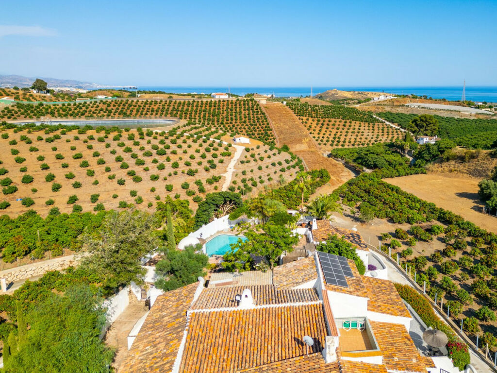 Finca - Cortijo Almayate Málaga - image 6
