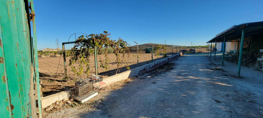 Finca - Cortijo San Miguel de Salinas Alicante - image 6