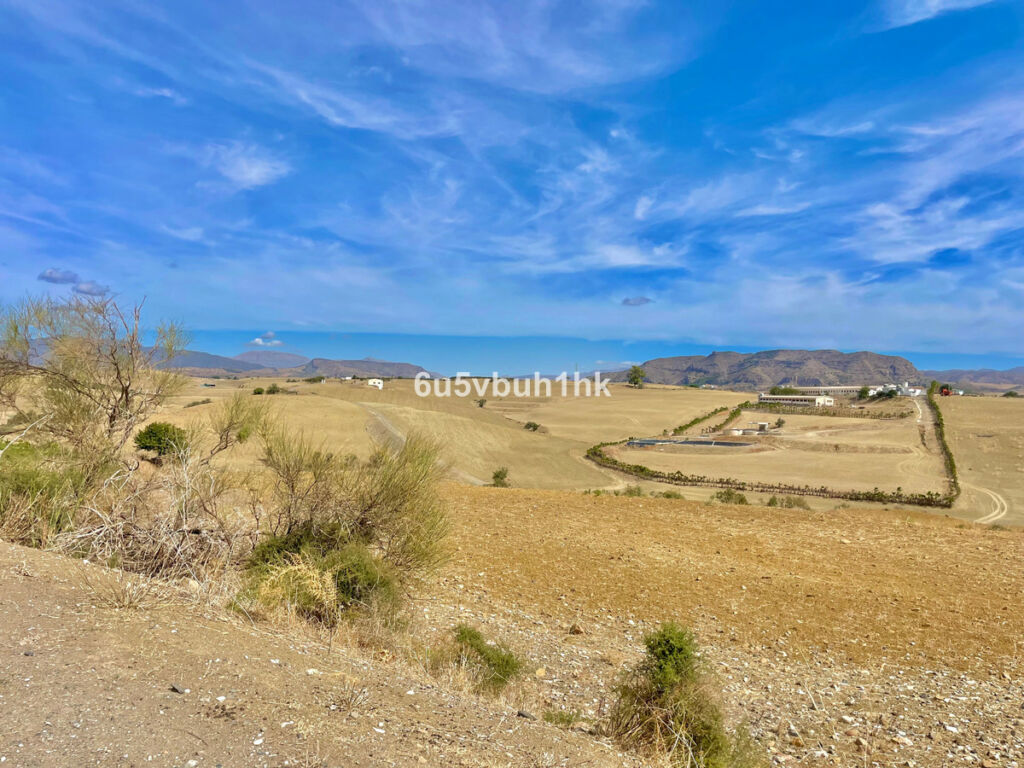 Land Cártama Málaga - image 6