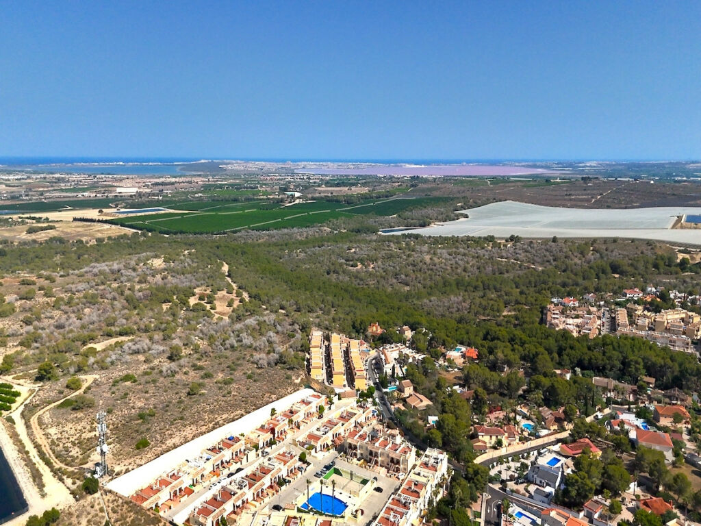 Detached Villa Algorfa Alicante - image 6