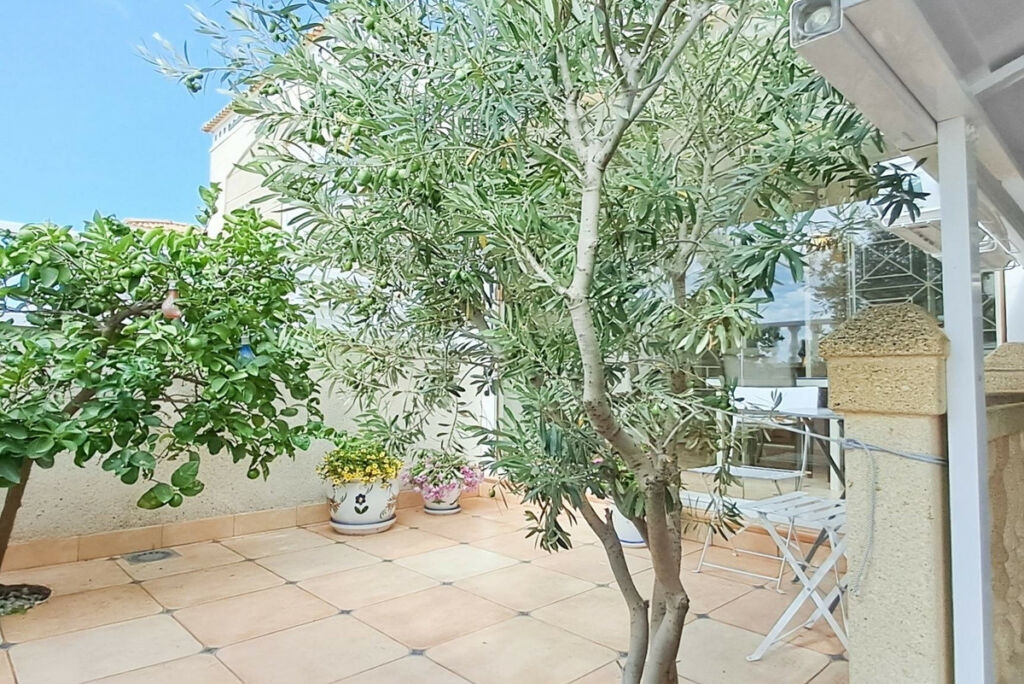Bungalow Torrevieja Alicante - image 11