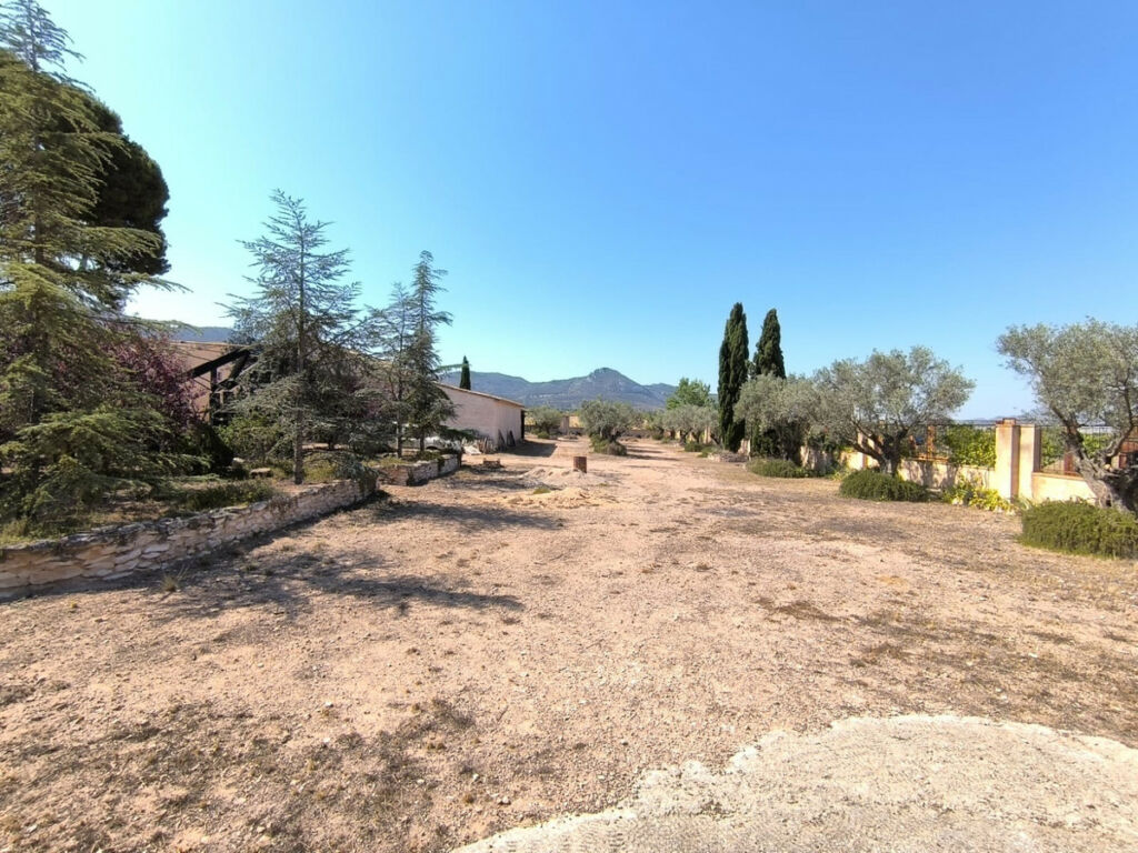 Finca - Cortijo Villena Alicante - image 6