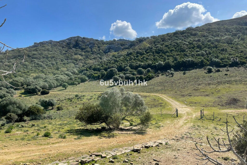 Finca - Cortijo Castellar de la Frontera Cádiz - image 6