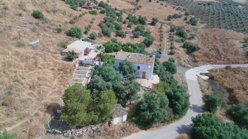 Finca - Cortijo Alora Málaga - image 6