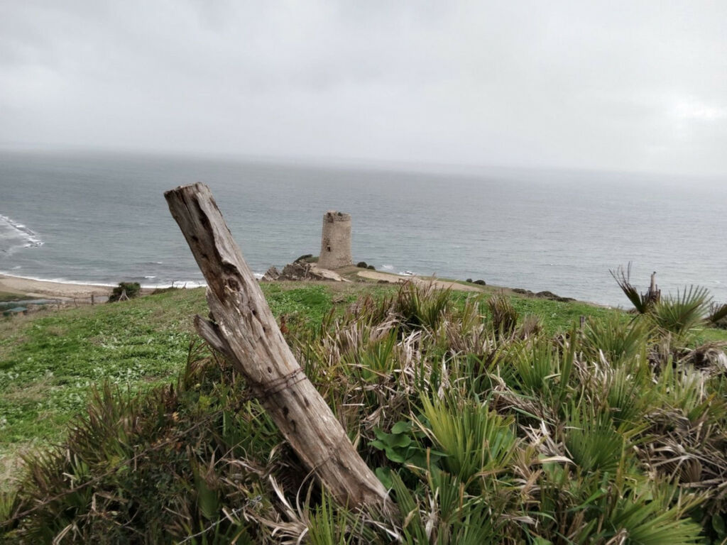 Land with Ruin Tarifa Cádiz - image 6