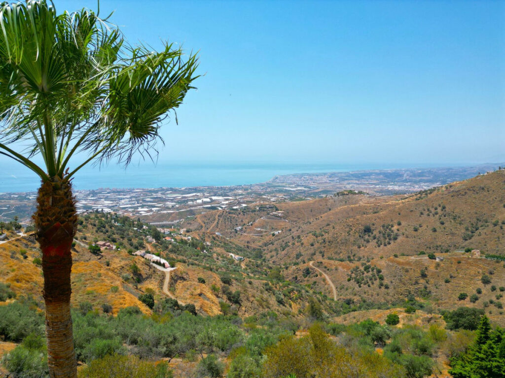 Detached Villa Arenas Málaga - image 59
